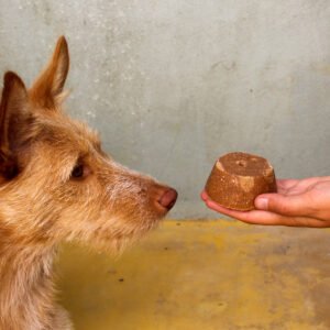 Champú sólido Patudos