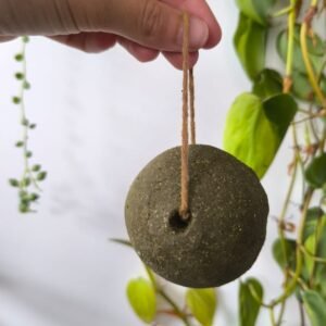 Champô Sólido Força da Natureza